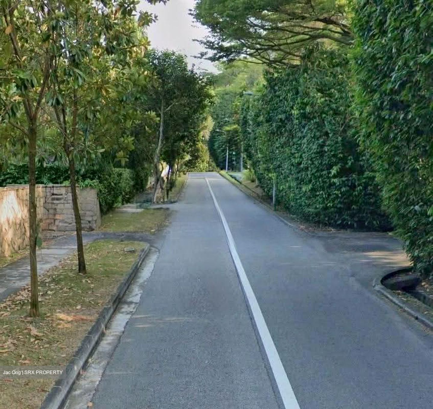 Swiss Club Park (D11), Detached #639468961